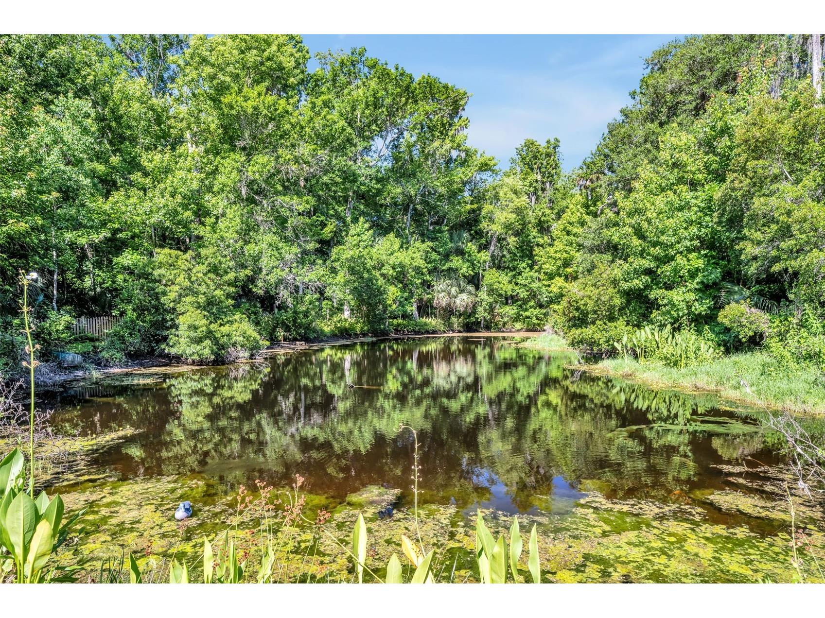 1483 Mirkwood Cove Oviedo FL 32765 O6405731 image55