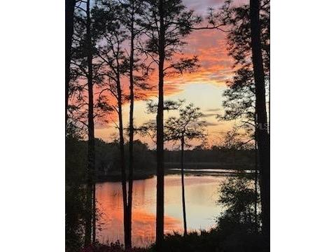 14830 SE 61st Street Road Ocklawaha FL 32179 - SHOESOLE LAKE OM709034 image1