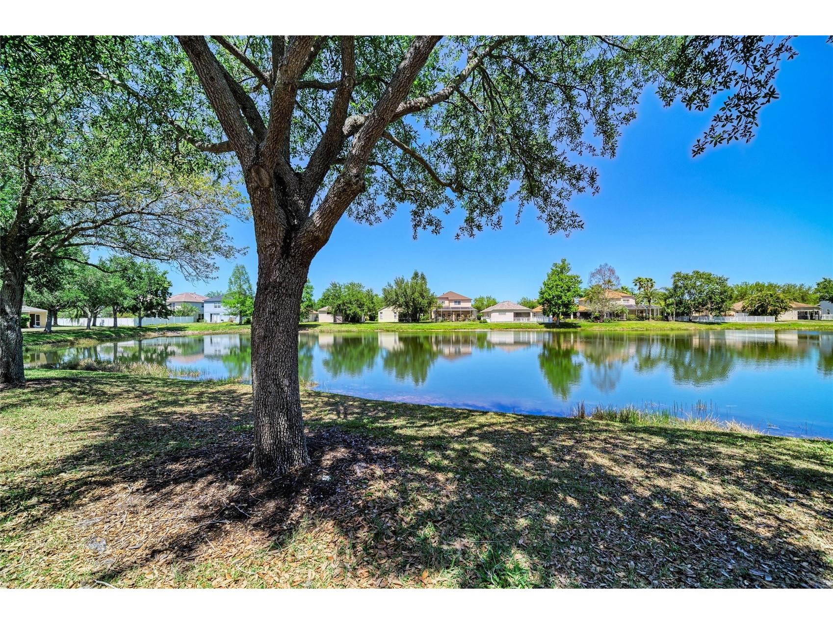 14830 Skip Jack Loop Lakewood Ranch FL 34202 A4690566 image34