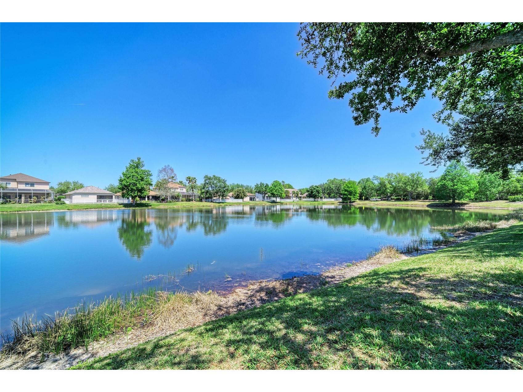 14830 Skip Jack Loop Lakewood Ranch FL 34202 A4690566 image36
