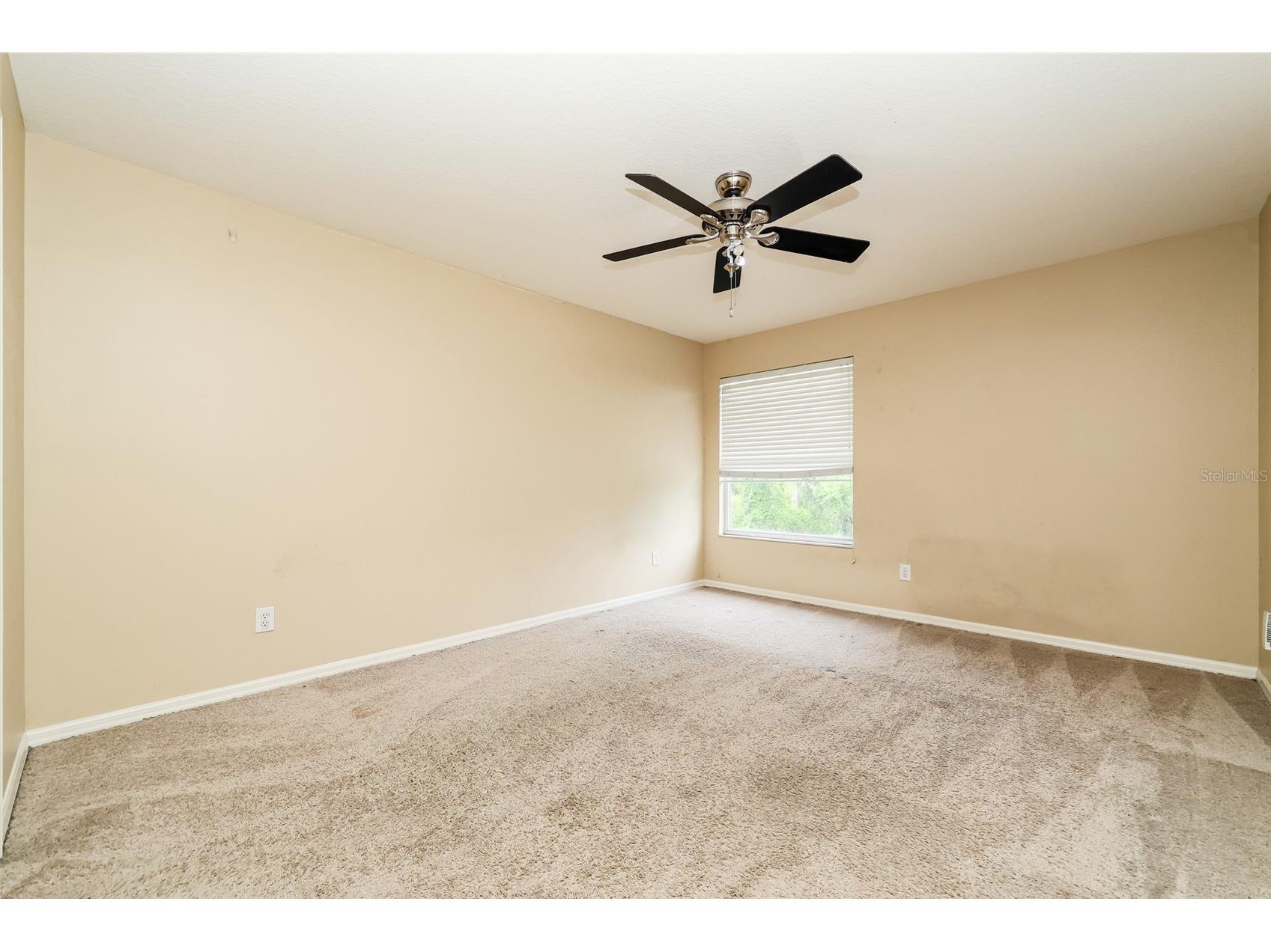 14831 Heronglen Drive Lithia FL 33547 TB8513410 image26