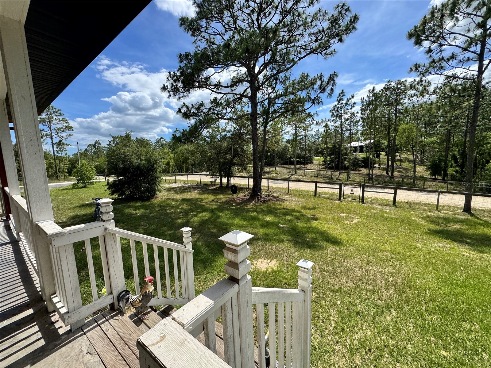14831 SE 1st Place Williston FL 32696 OM726805 image29