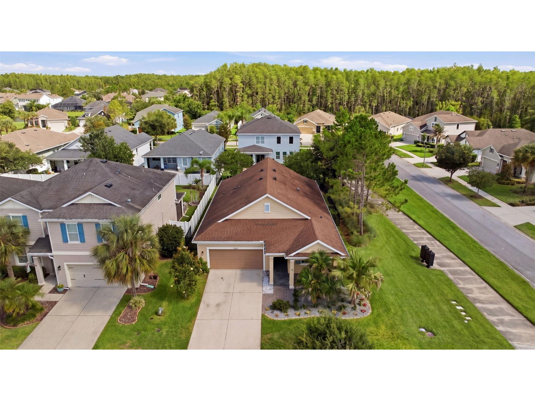 14831 Trails Edge Boulevard Odessa FL 33556 TB8511602 image31