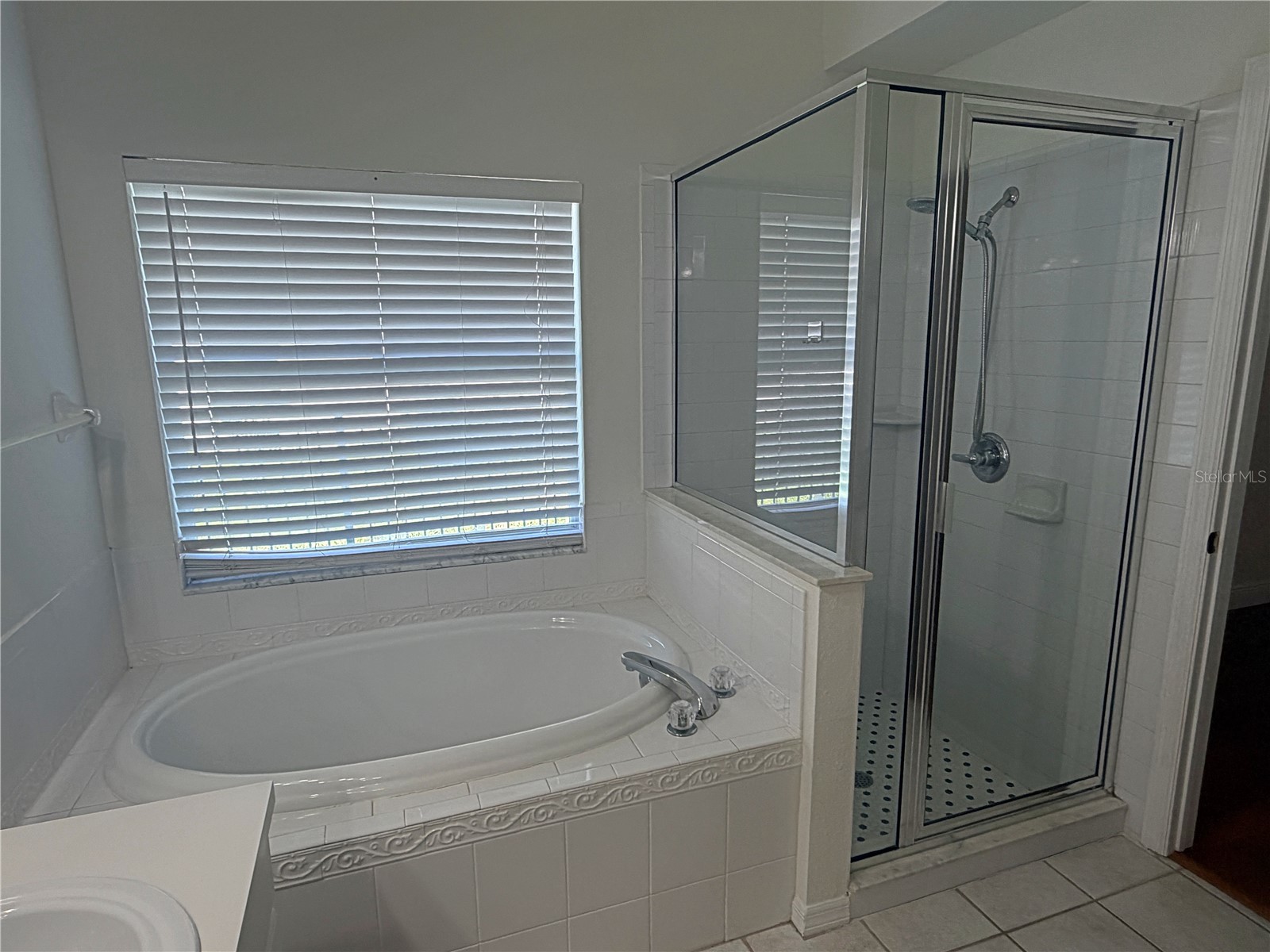 14832 Heronglen Drive Lithia FL 33547 TB8525804 image18
