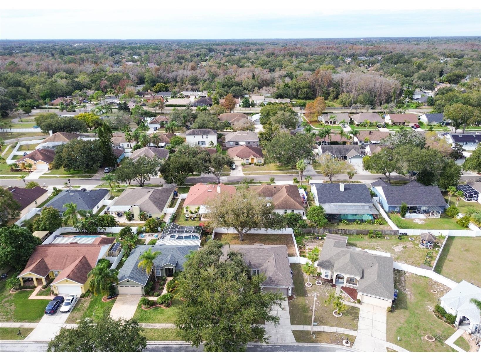 14833 Redcliff Drive Tampa FL 33625 TB8472950 image44