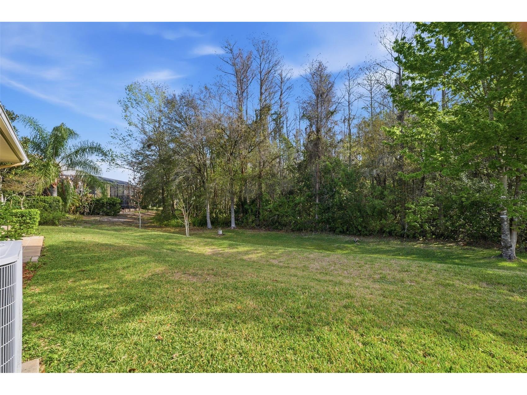 14834 Man O War Drive Odessa FL 33556 W7883658 image25