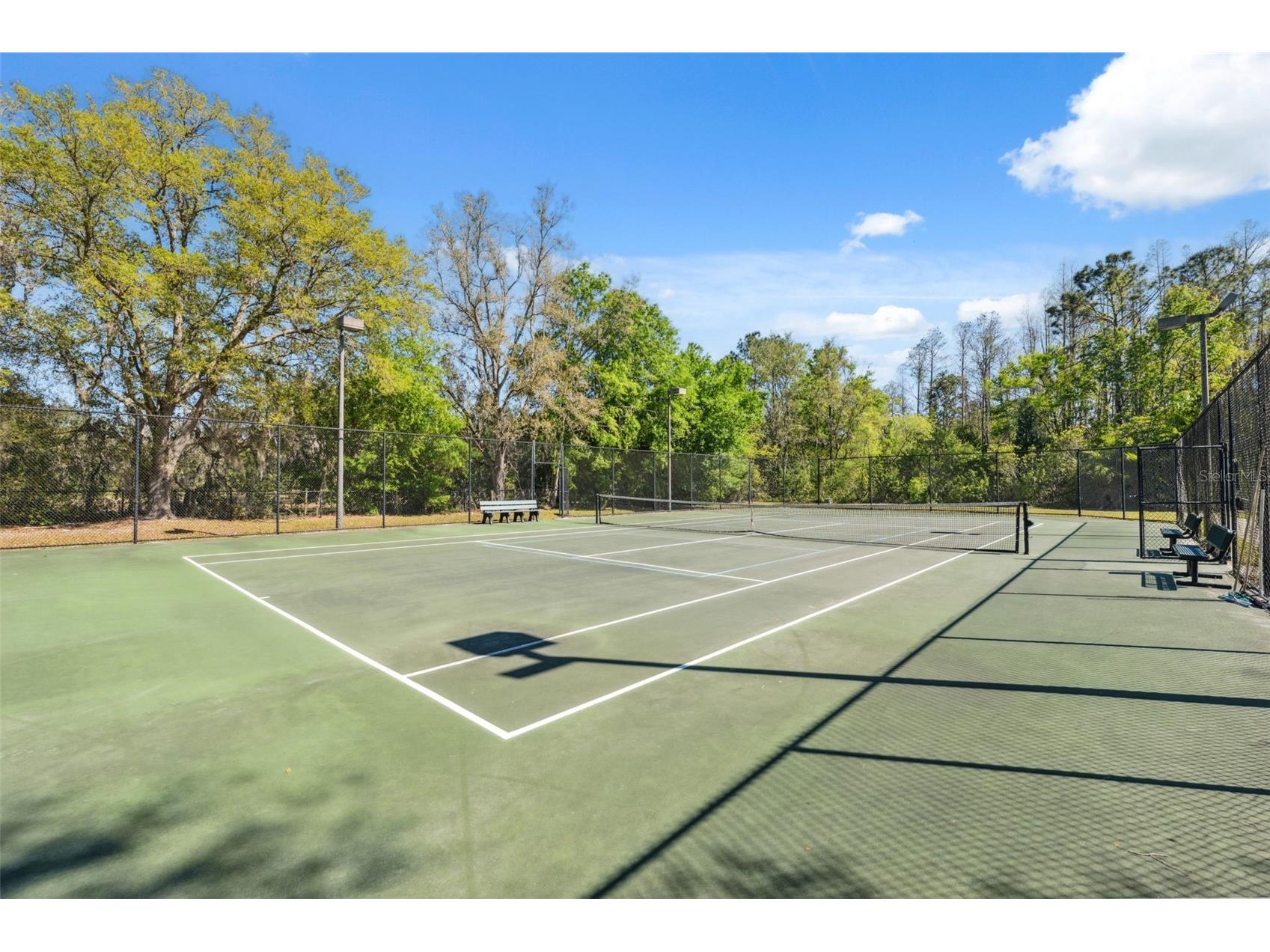 14834 Man O War Drive Odessa FL 33556 W7883658 image31