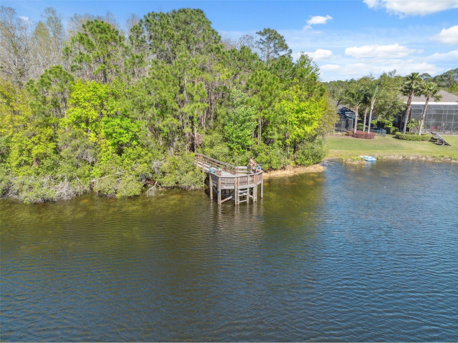 14834 Man O War Drive Odessa FL 33556 W7883658 image32