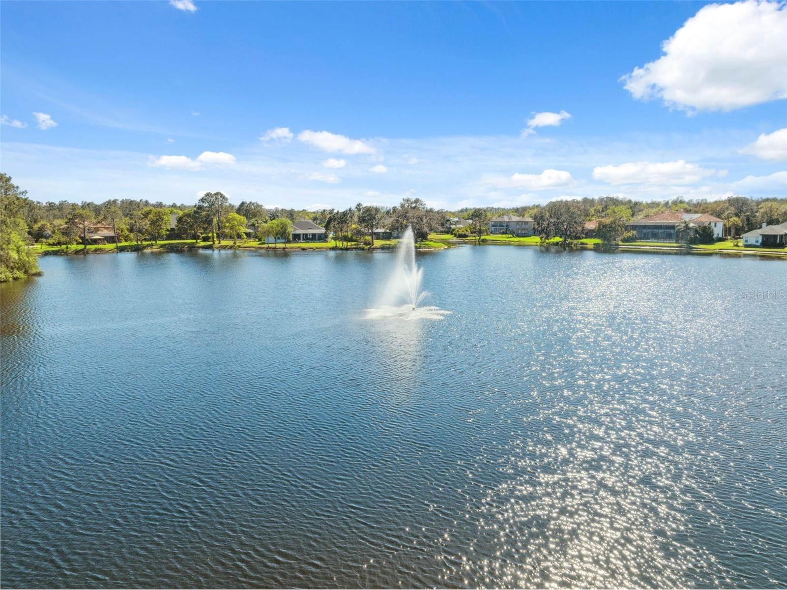 14834 Man O War Drive Odessa FL 33556 W7883658 image33
