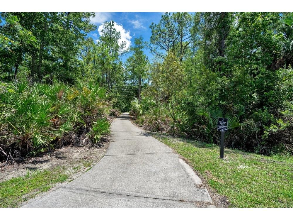 14837 Huntley Drive Orlando FL 32828 O6361567 image52