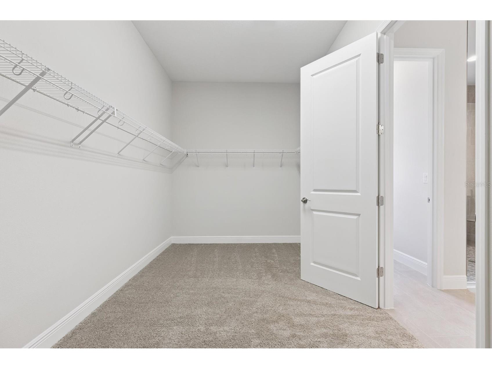 14838 Rider Pass Drive Lithia FL 33547 TB8435854 image10