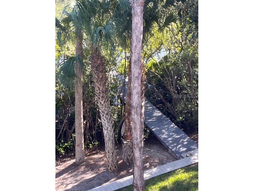 14839 Seminole Trail Seminole FL 33776 TB8452279 image27