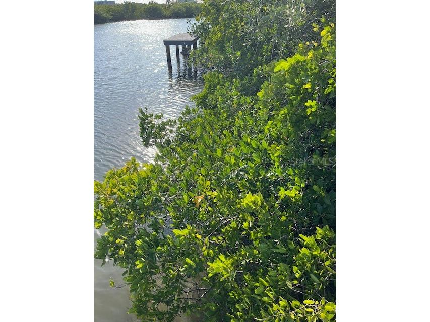 14839 Seminole Trail Seminole FL 33776 TB8452279 image35