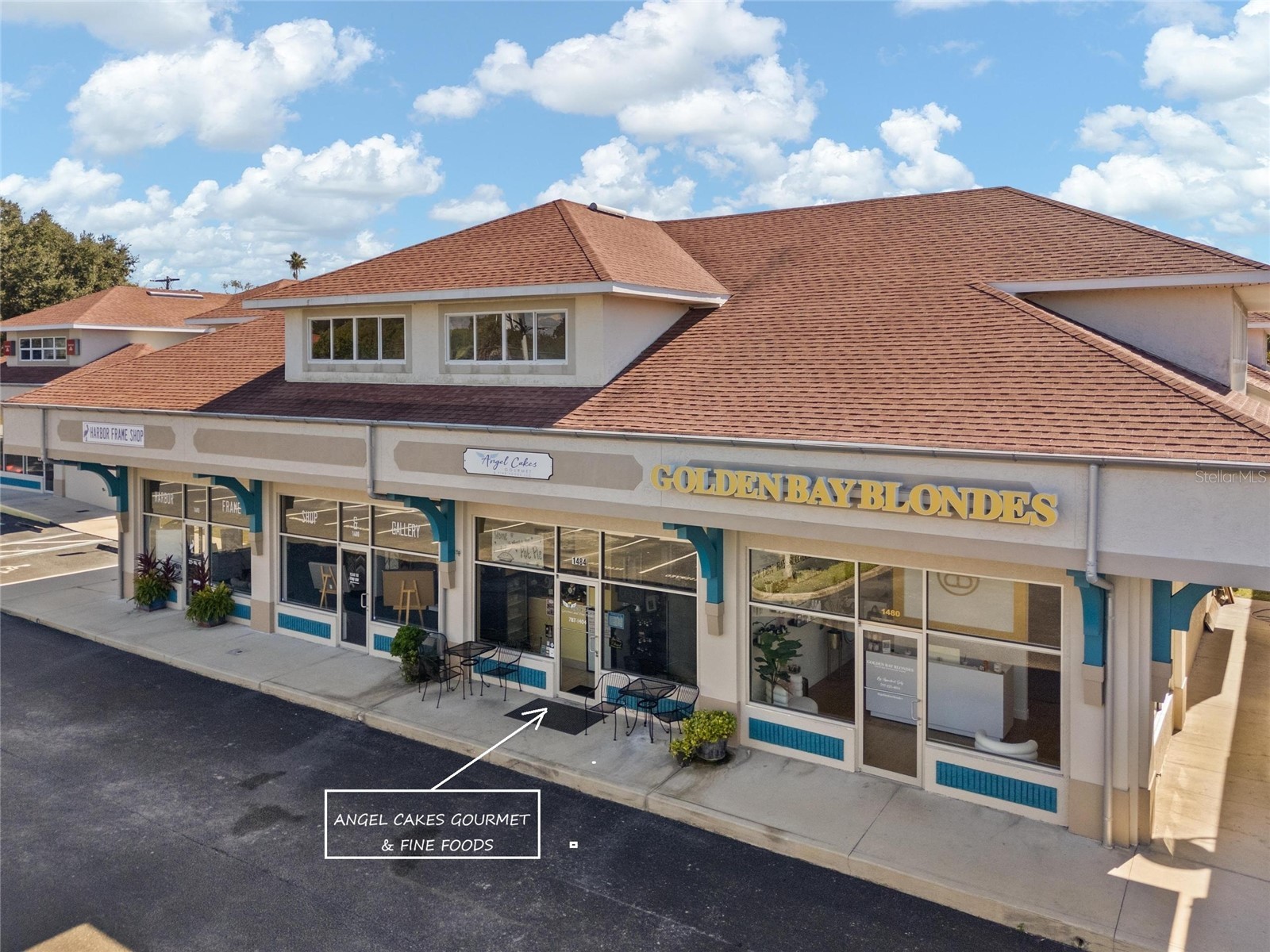 1484 Alternate 19 N Palm Harbor FL 34683 TB8504925 image1