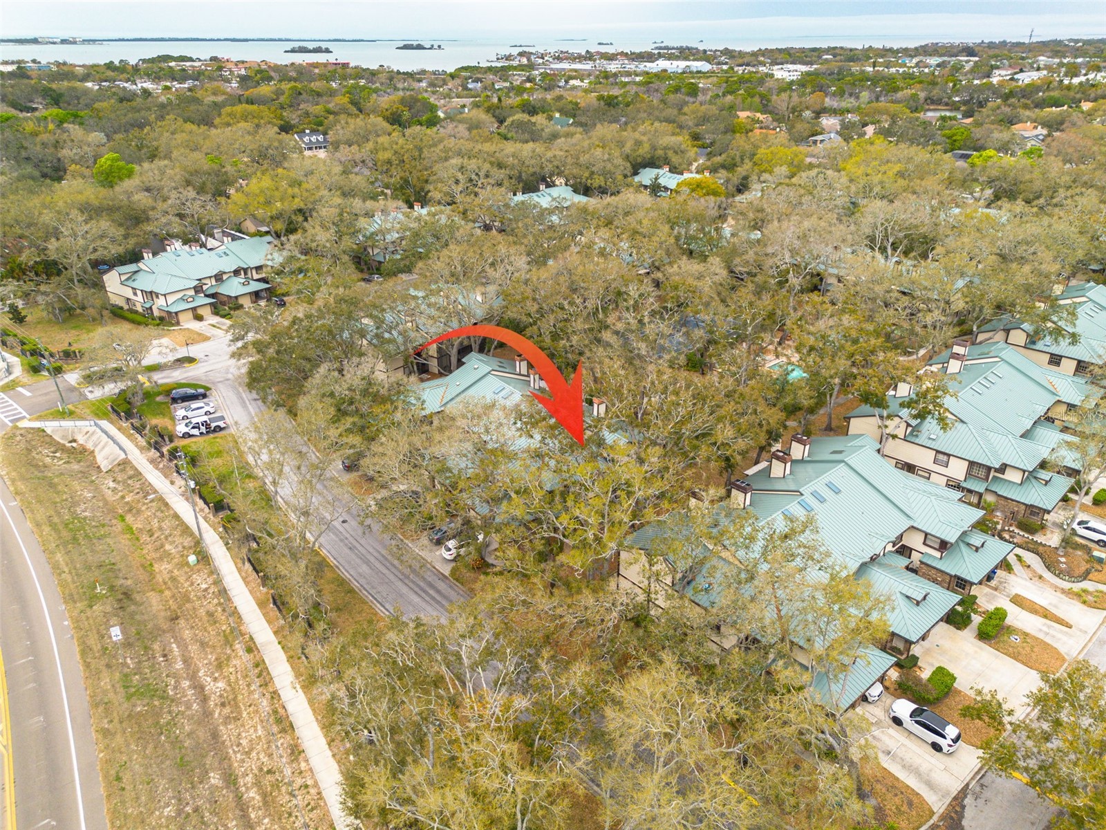 1484 Buckeye Lane Palm Harbor FL 34683 TB8481412 image1