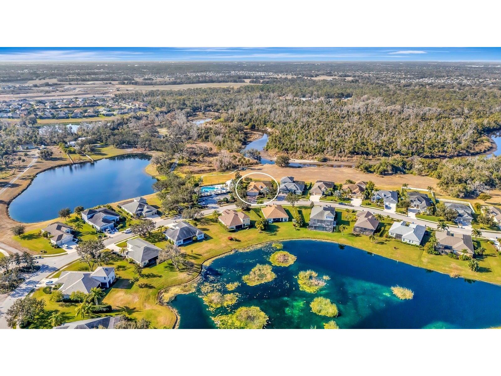 1484 Hickory View Circle Parrish FL 34219 - MANATEE RIVER A4681184 image3