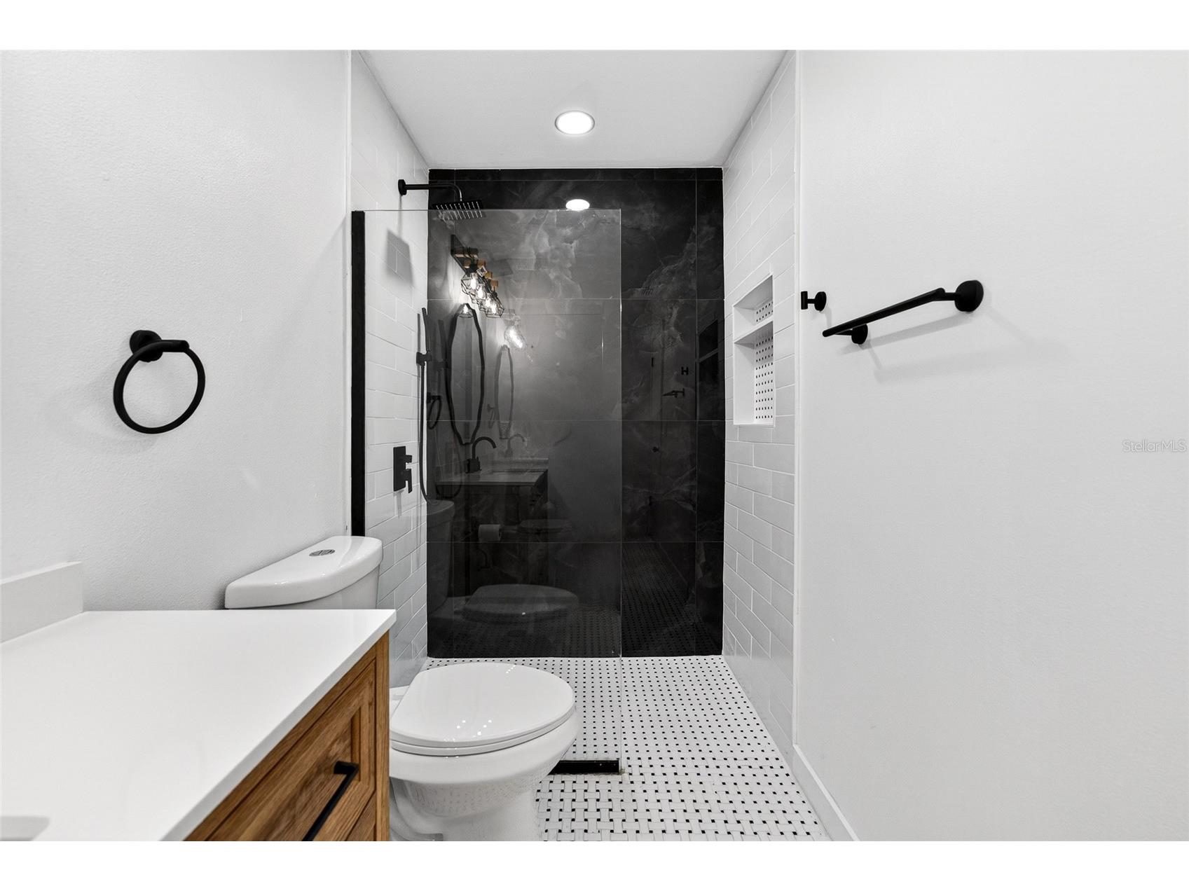 14841 Oak Vine Drive Lutz FL 33559 TB8496970 image18