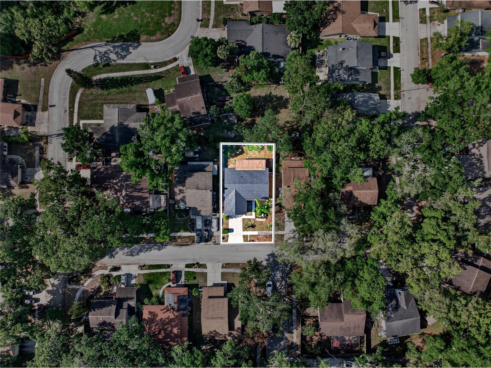 14841 Oak Vine Drive Lutz FL 33559 TB8496970 image28