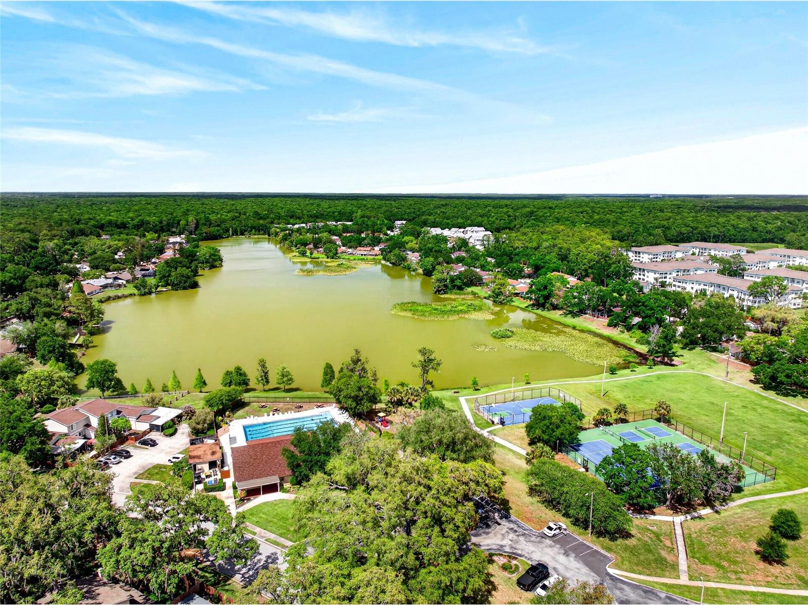14841 Oak Vine Drive Lutz FL 33559 TB8496970 image29