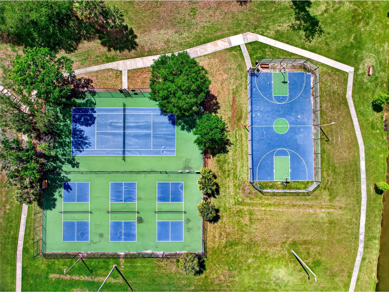 14841 Oak Vine Drive Lutz FL 33559 TB8496970 image30