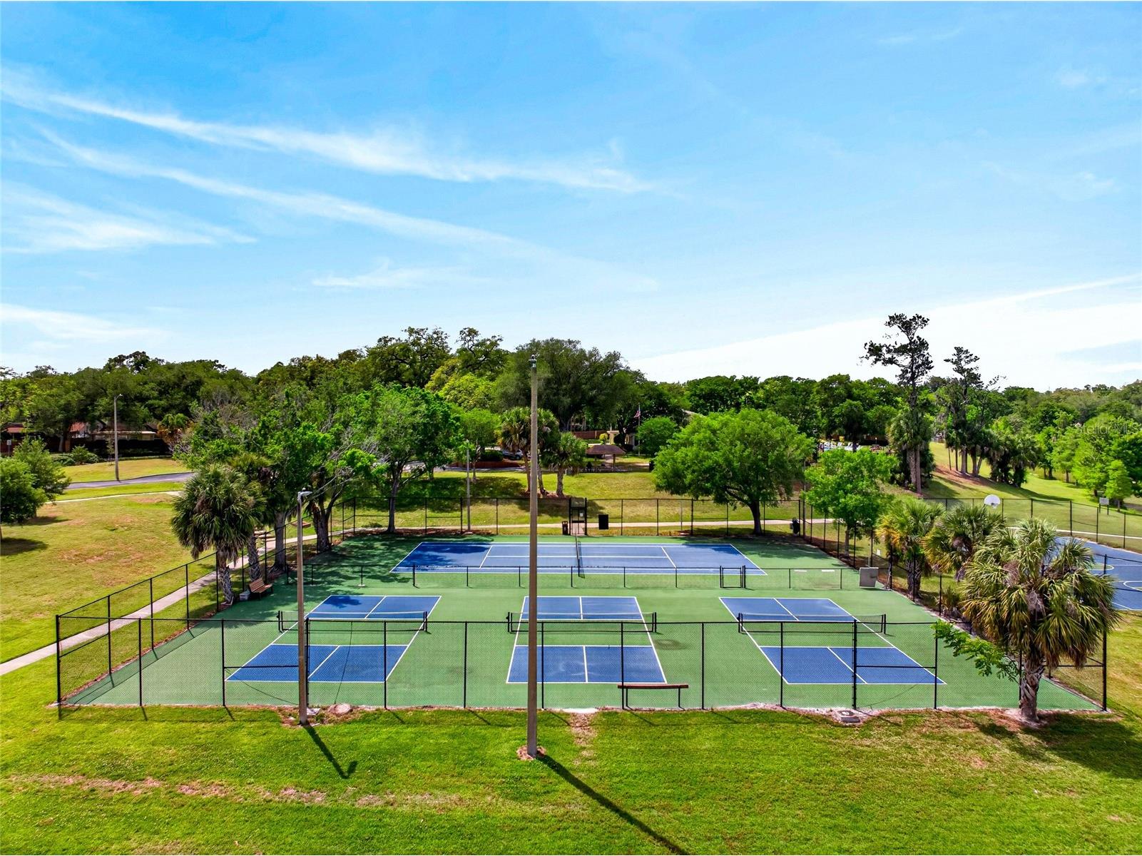 14841 Oak Vine Drive Lutz FL 33559 TB8496970 image31