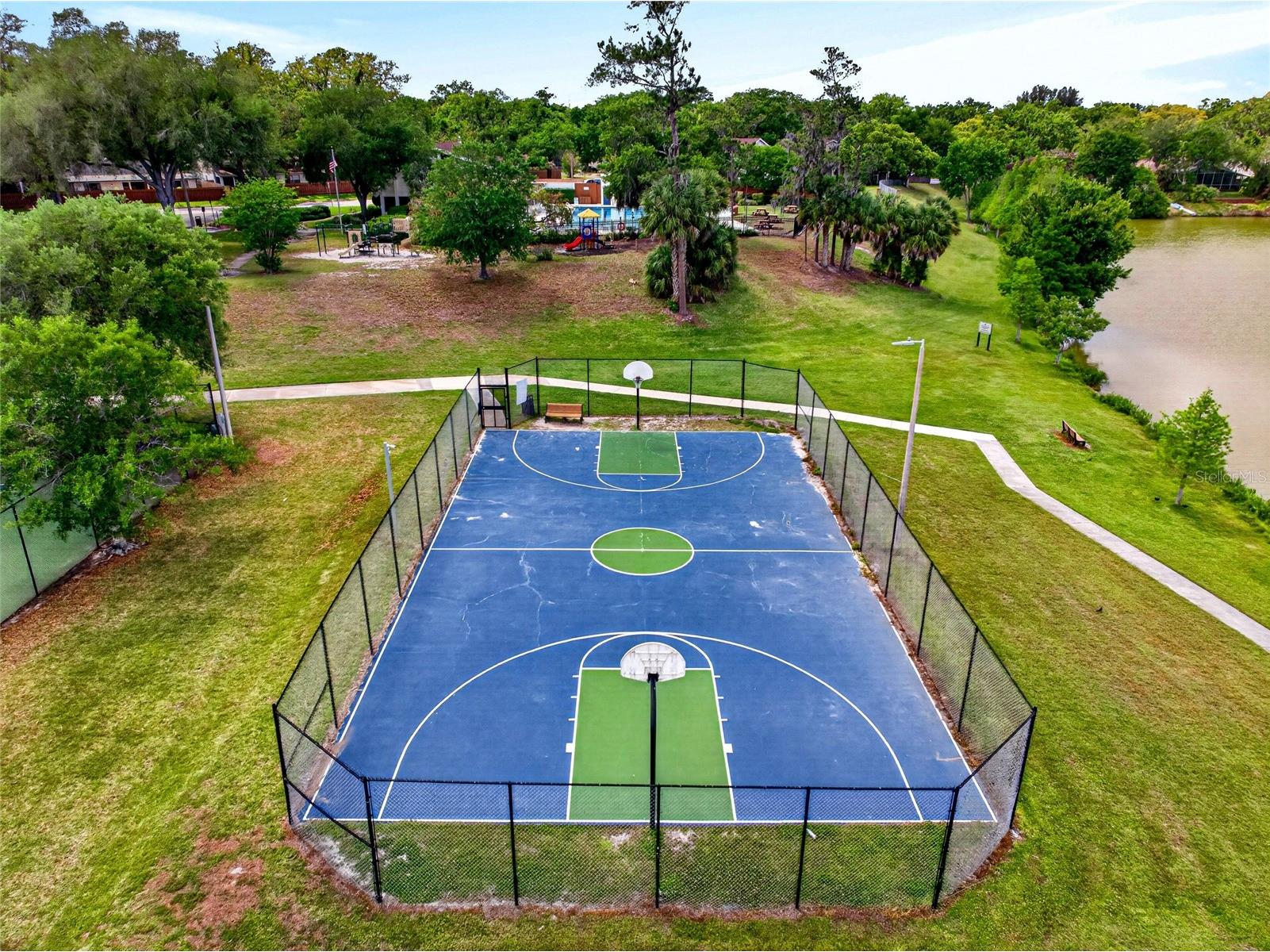 14841 Oak Vine Drive Lutz FL 33559 TB8496970 image32