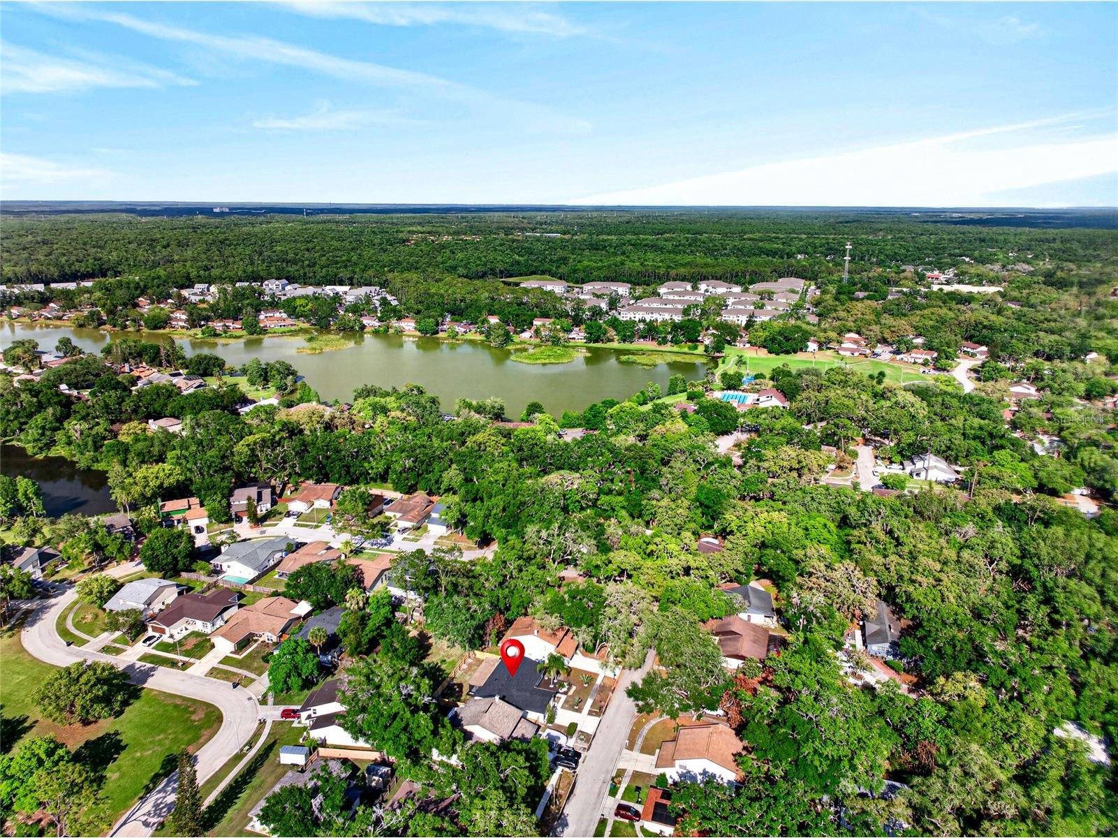 14841 Oak Vine Drive Lutz FL 33559 TB8496970 image36