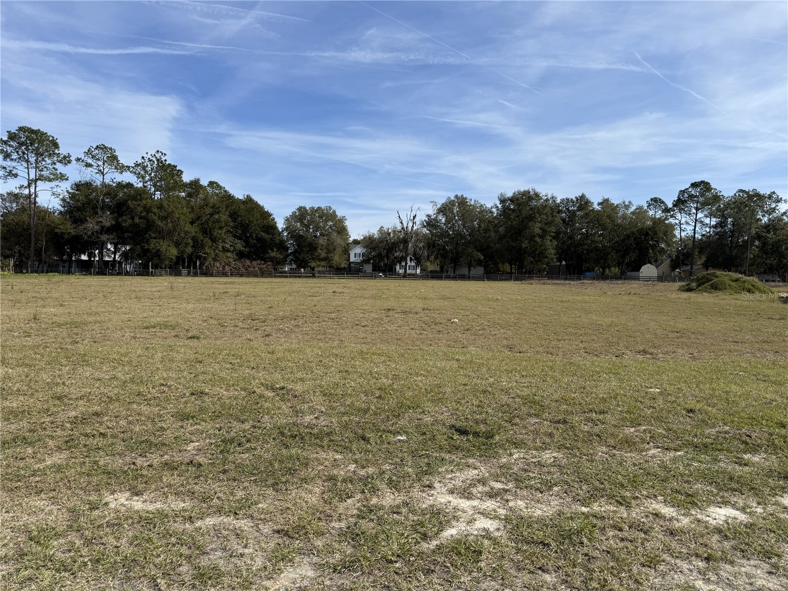 14842 Mim Place Dade City FL 33525 TB8465026 image3