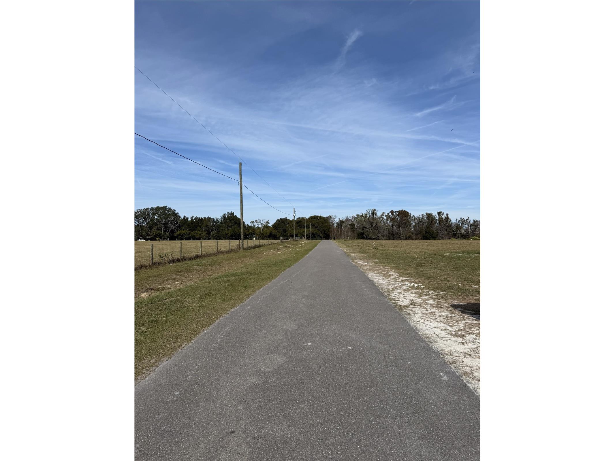 14842 Mim Place Dade City FL 33525 TB8465026 image4