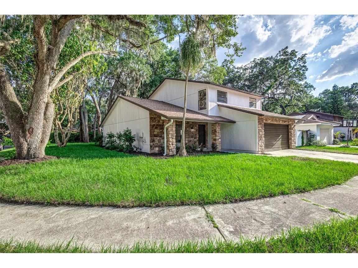 14842 Oak Vine Drive Lutz FL 33559 T3526465 image1