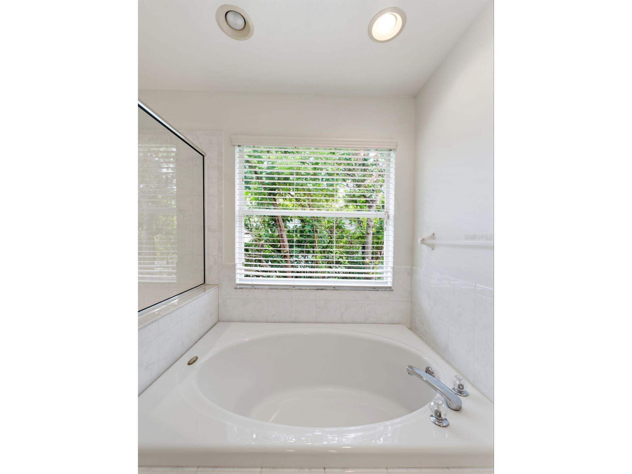 14843 Heronglen Drive Lithia FL 33547 TB8515497 image20