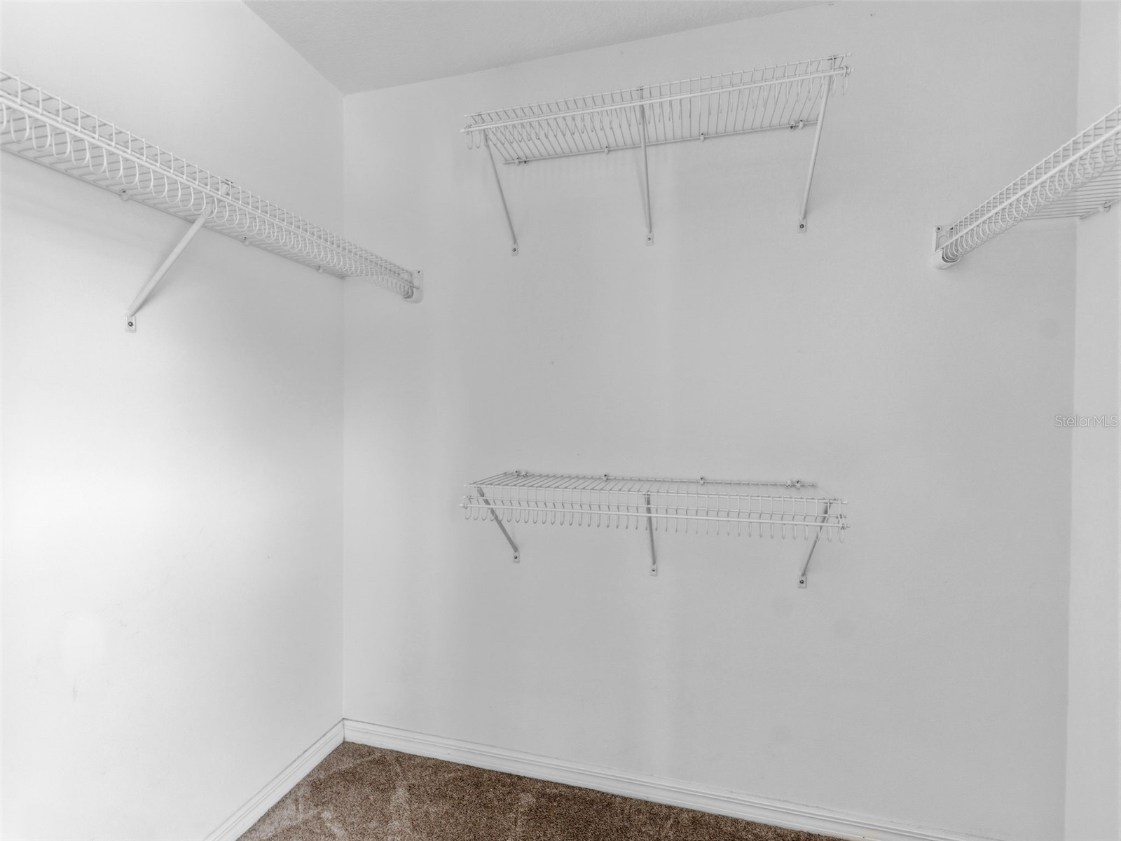 14843 Heronglen Drive Lithia FL 33547 TB8515497 image22