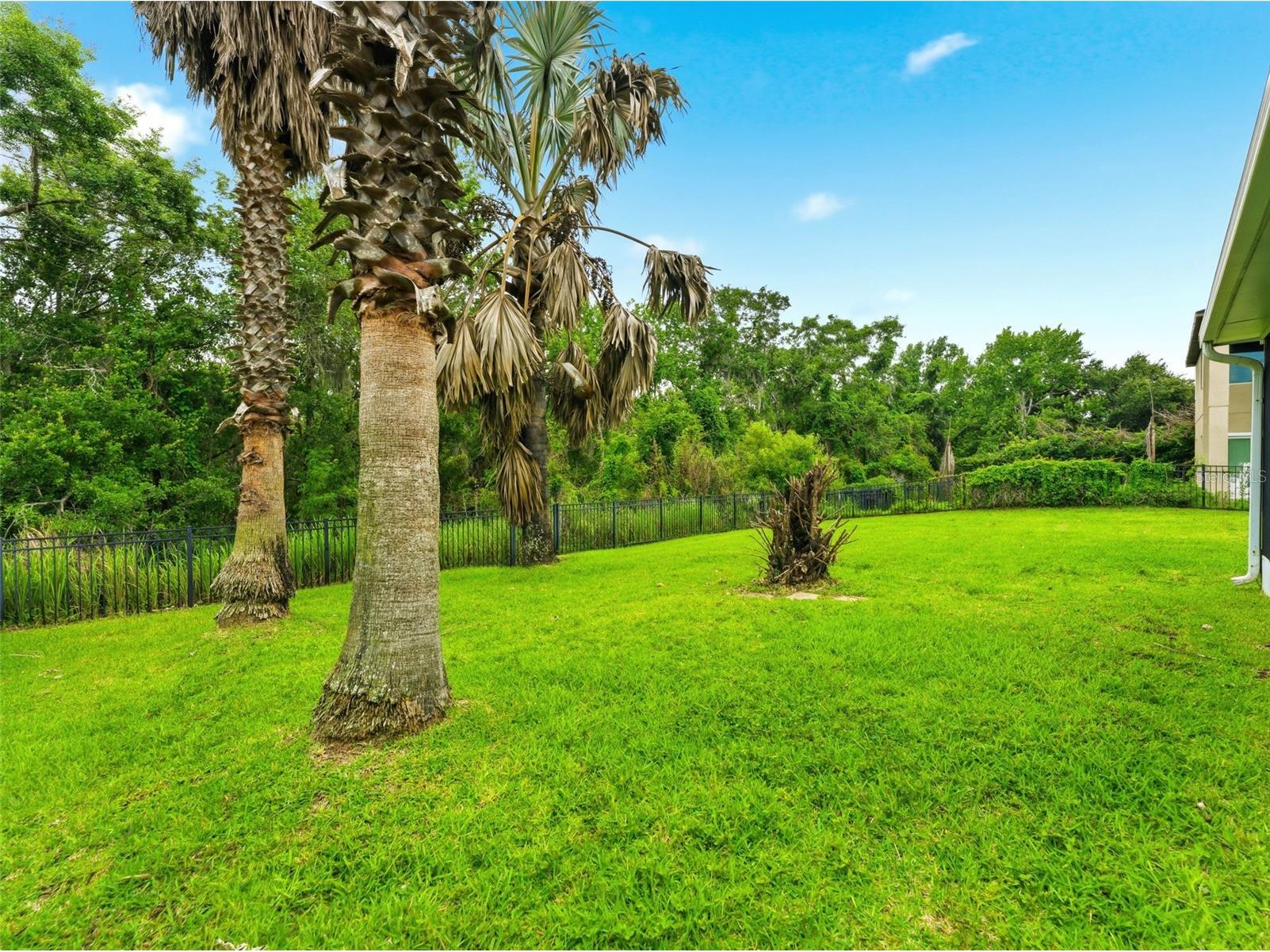 14843 Heronglen Drive Lithia FL 33547 TB8515497 image46