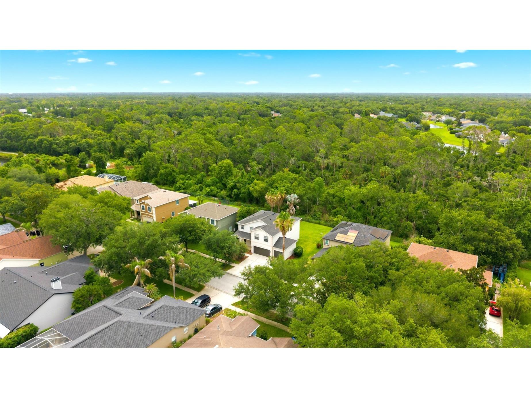 14843 Heronglen Drive Lithia FL 33547 TB8515497 image48