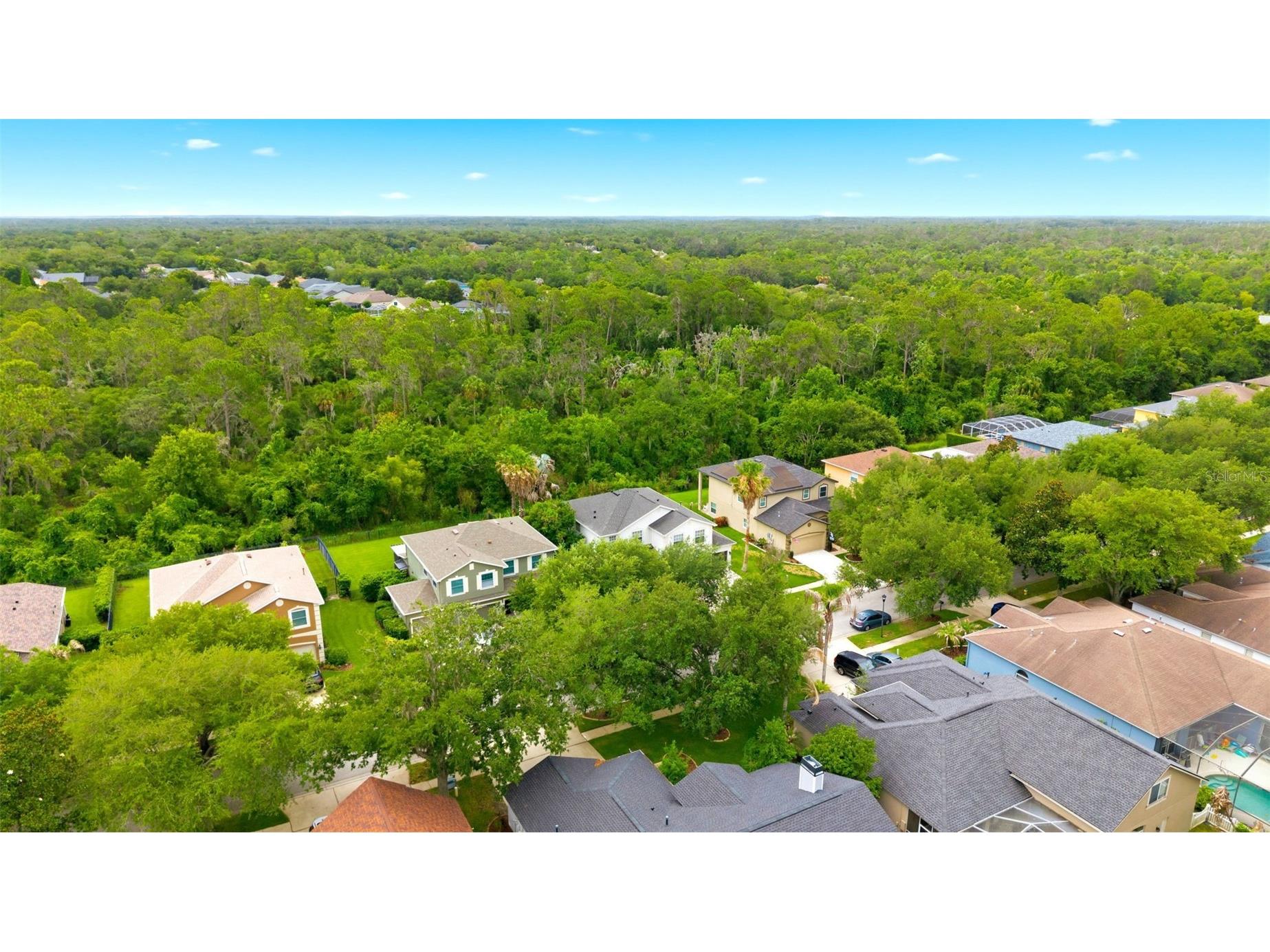 14843 Heronglen Drive Lithia FL 33547 TB8515497 image49