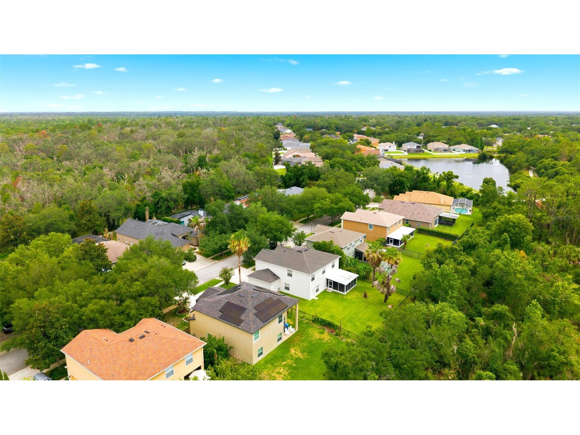 14843 Heronglen Drive Lithia FL 33547 TB8515497 image50