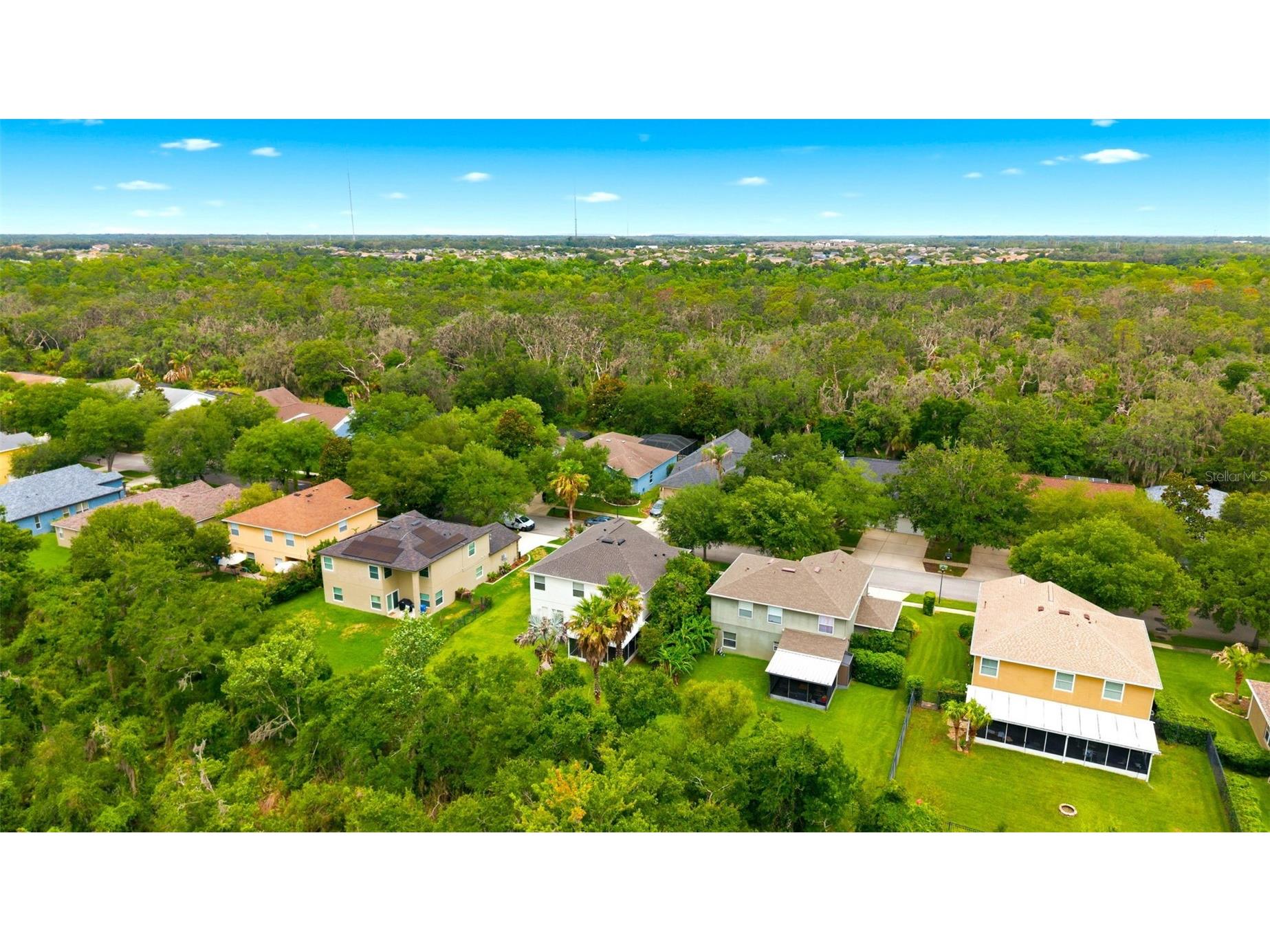 14843 Heronglen Drive Lithia FL 33547 TB8515497 image51