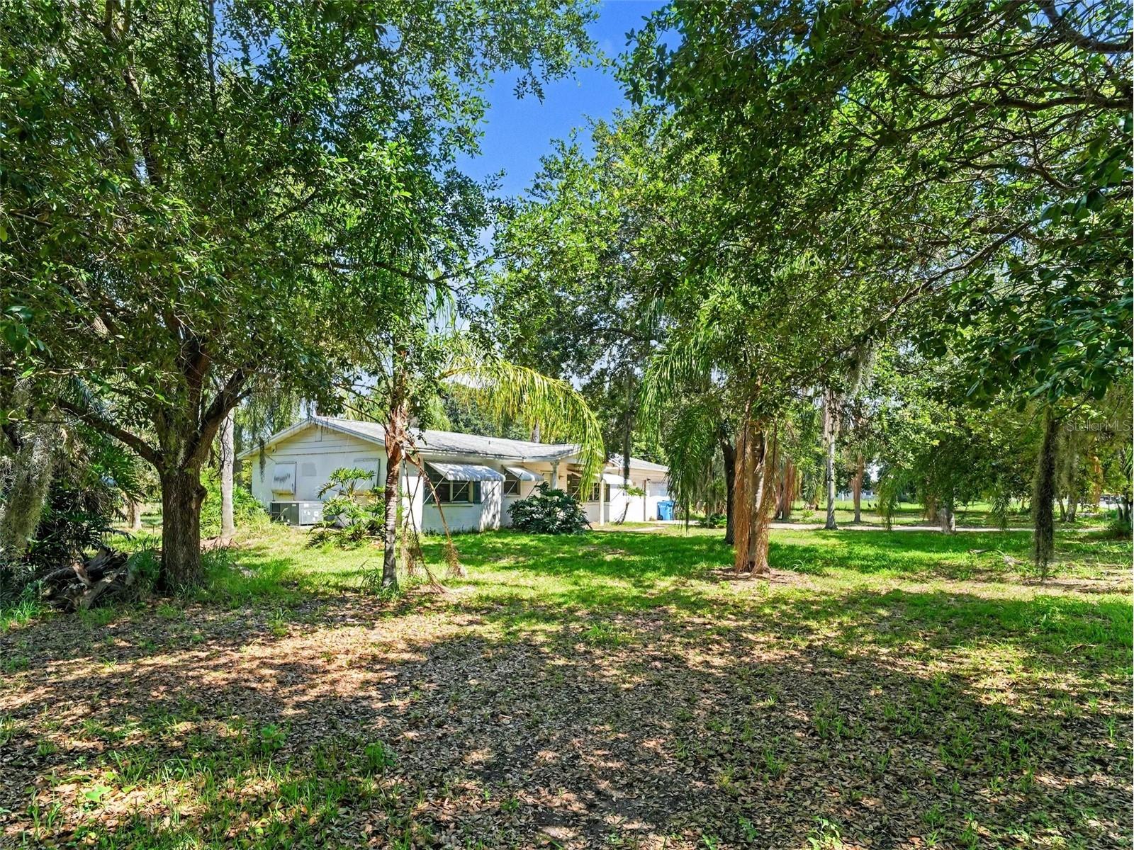 14845 Balm Road Wimauma FL 33598 A4696343 image4