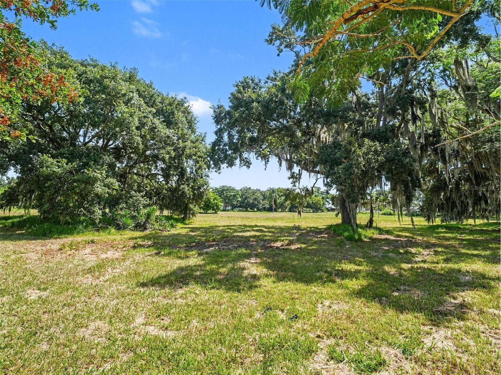 14845 Balm Road Wimauma FL 33598 A4696343 image5