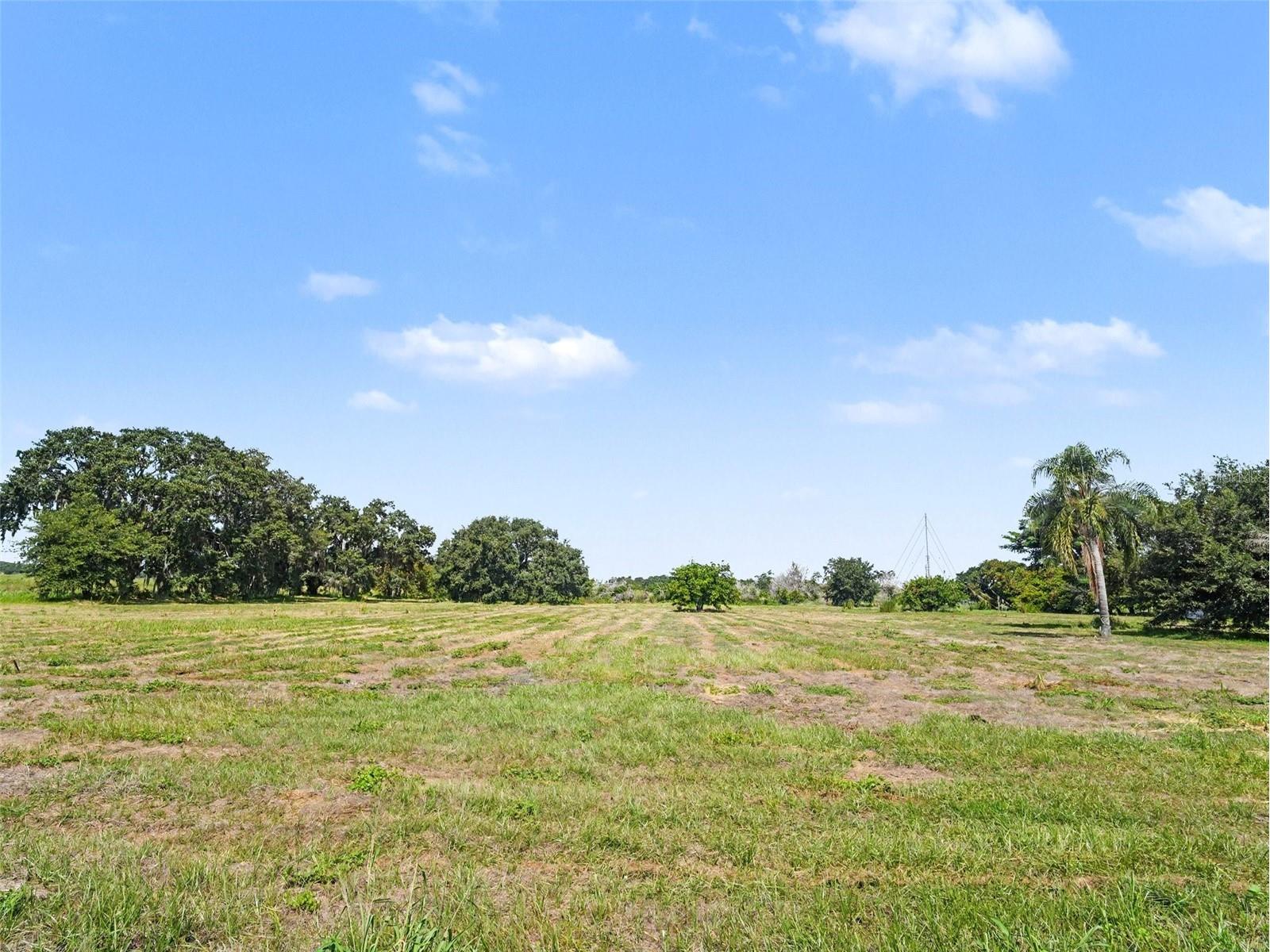 14845 Balm Road Wimauma FL 33598 A4696343 image7