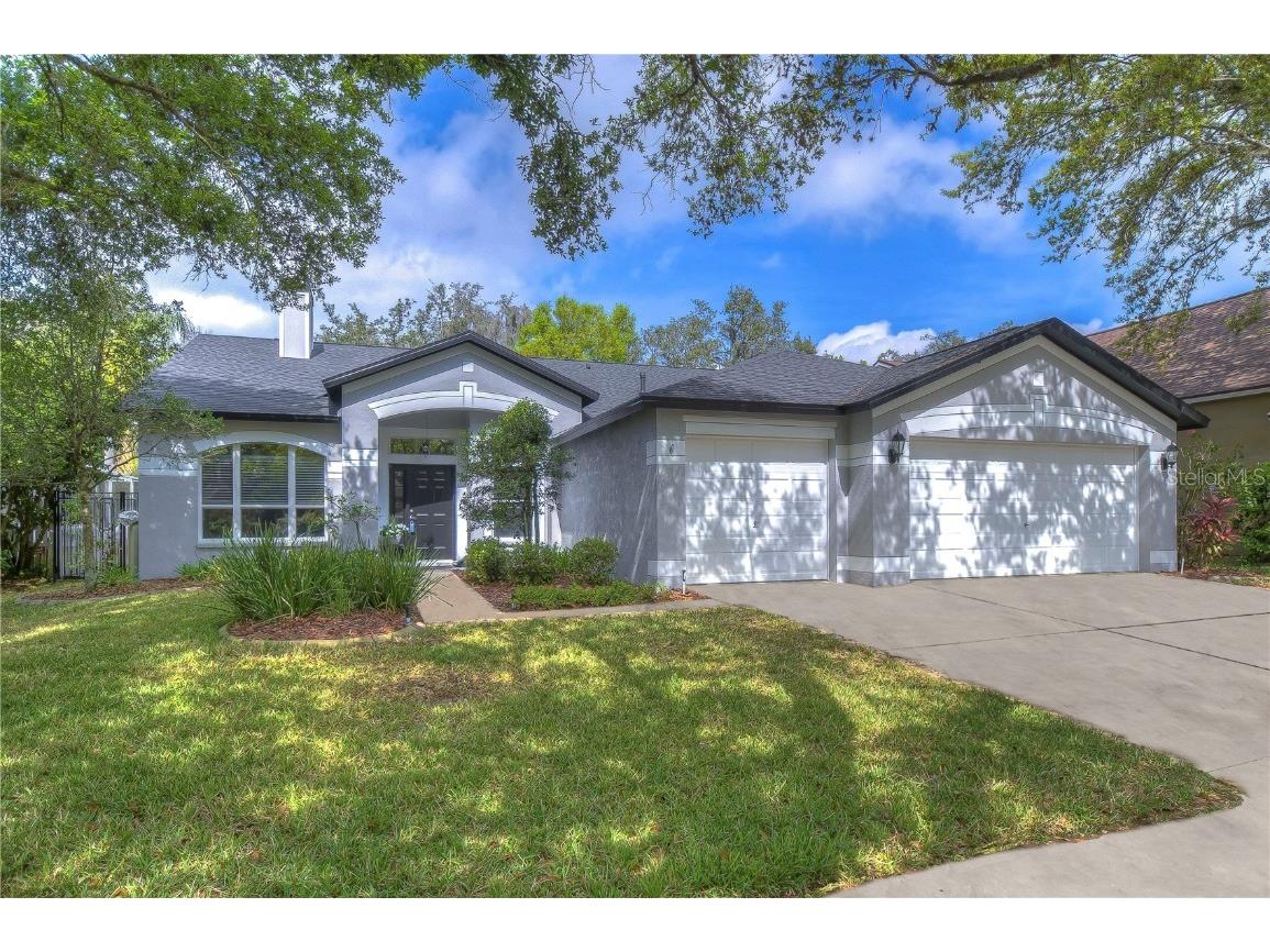 14846 Heronglen Drive Lithia FL 33547 T3511030 image1