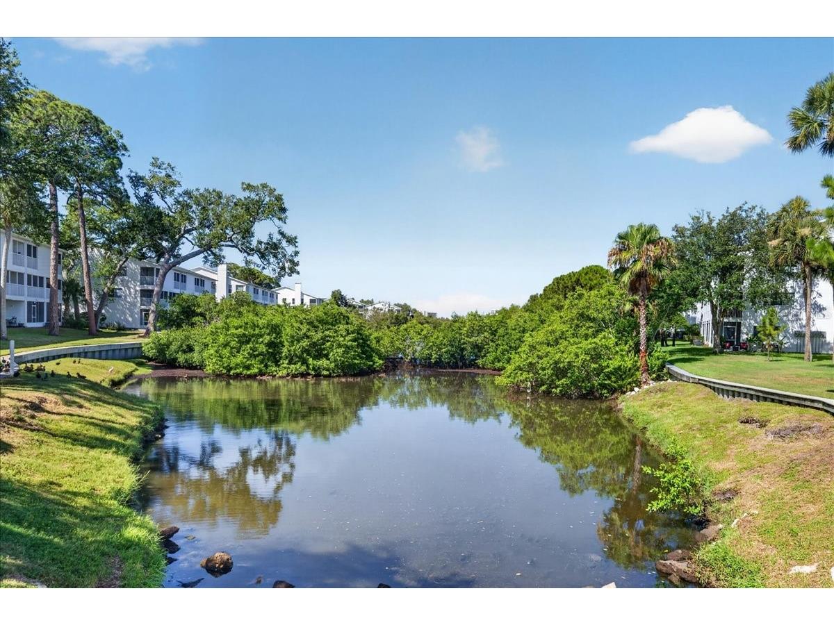 14846 Seminole Trail Seminole FL 33776 - THE NARROWS TB8523963 image68