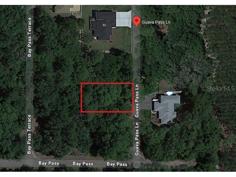 1484928 Guava Pass Lane Ocklawaha FL 32179 TB8383318 image1