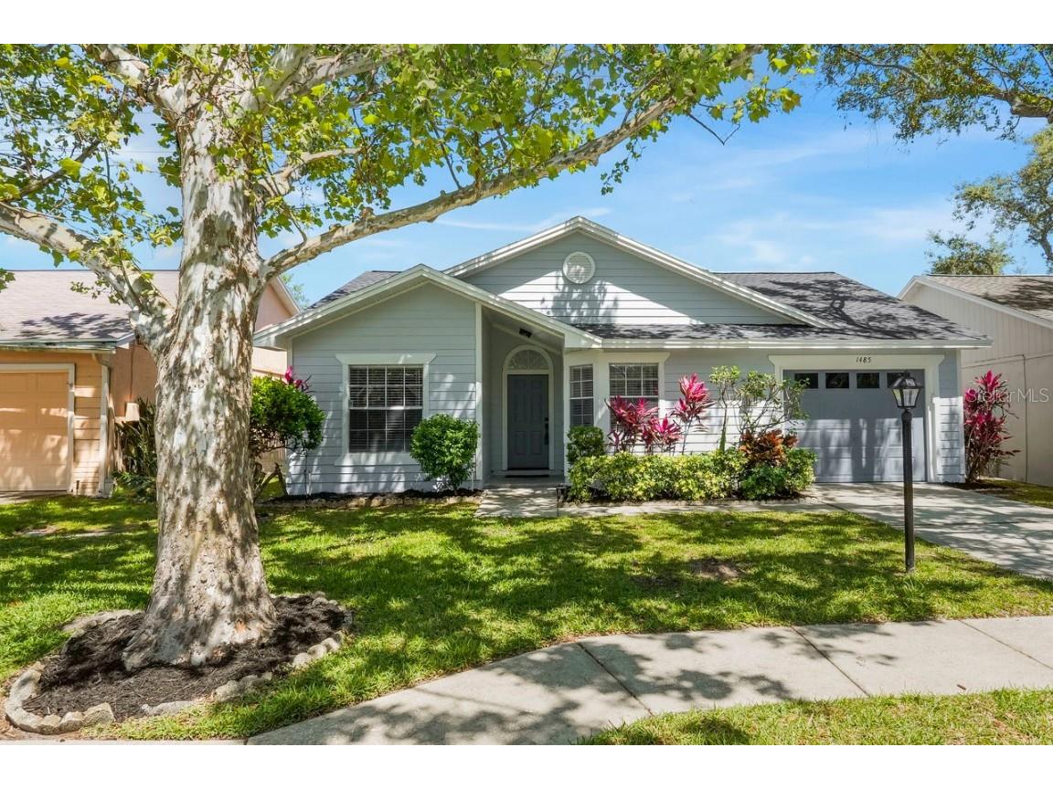 1485 Cairn Court Palm Harbor FL 34683 TB8375958 image1