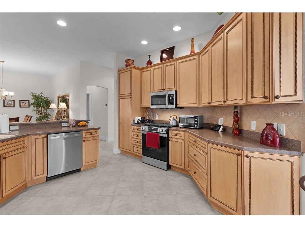 1485 Dalzell Court The Villages FL 32162 G5105706 image16