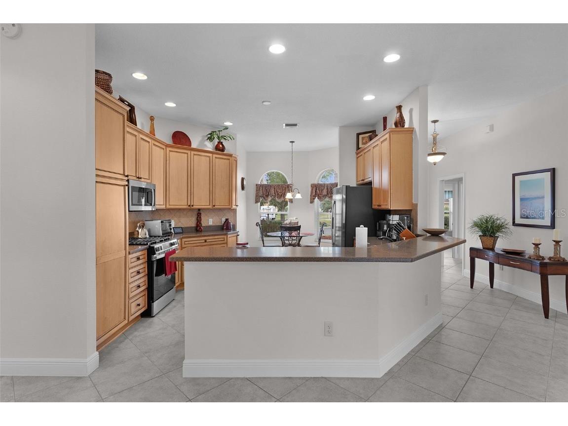 1485 Dalzell Court The Villages FL 32162 G5105706 image18