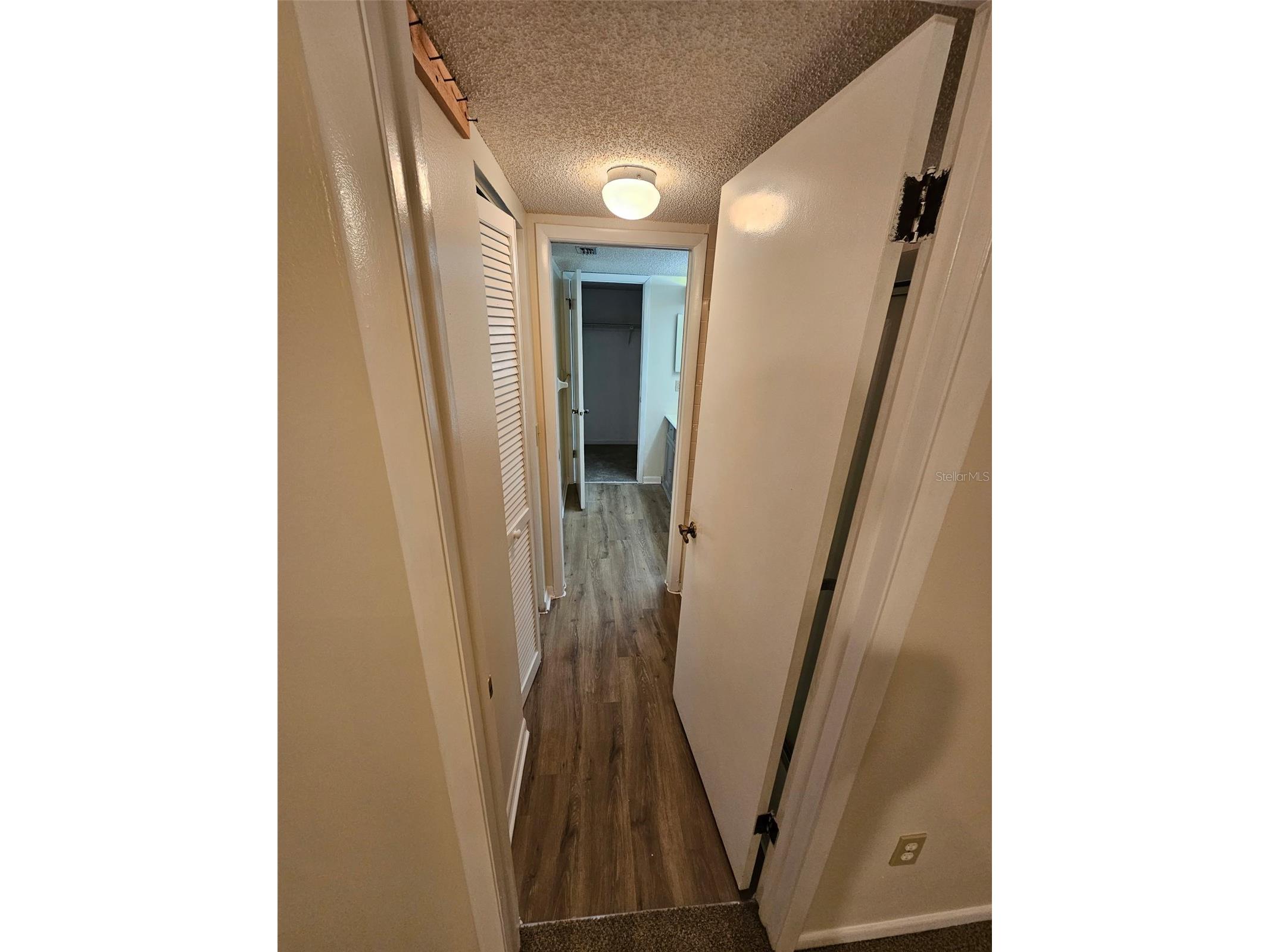 1485 Halsey Drive #105 Dunedin FL 34698 TB8508331 image12