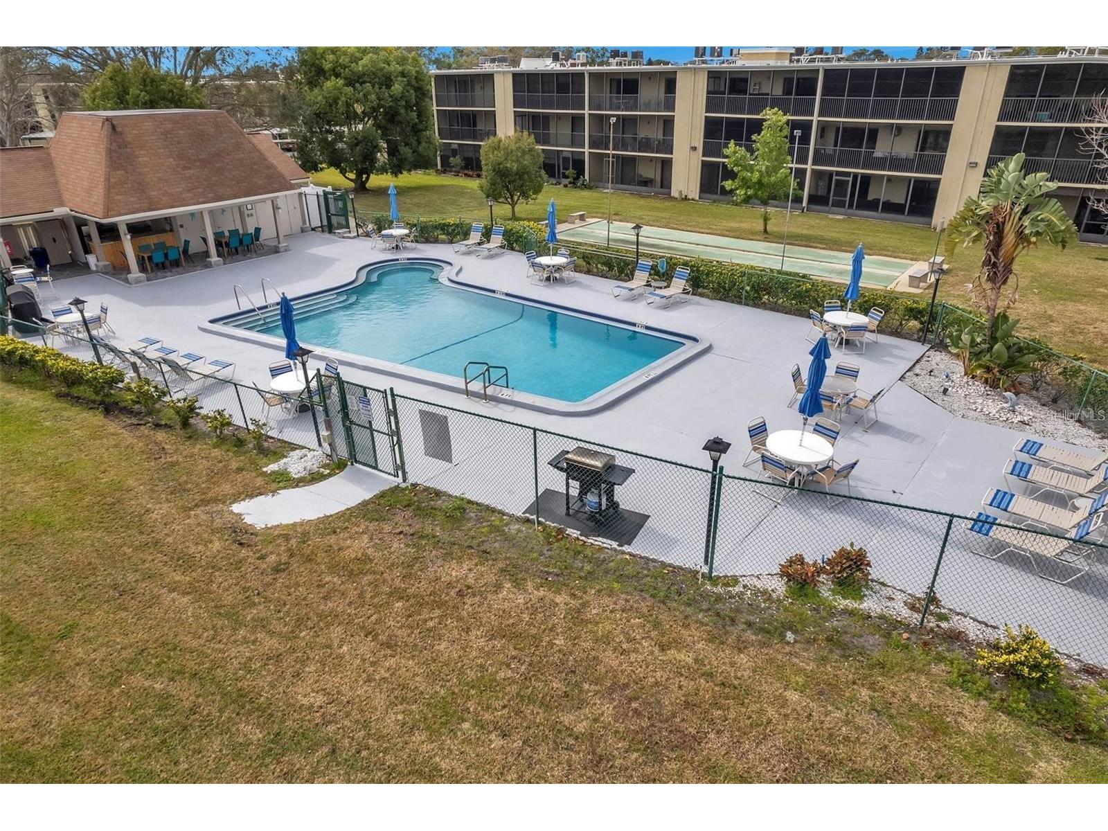 1485 Halsey Drive #105 Dunedin FL 34698 TB8508331 image14