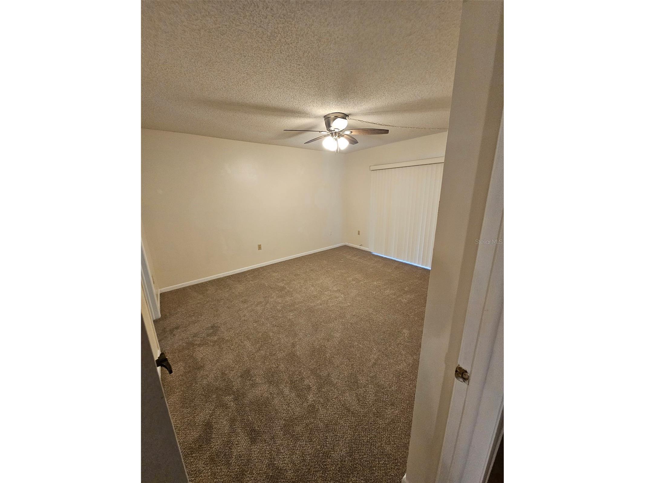 1485 Halsey Drive #105 Dunedin FL 34698 TB8508331 image5