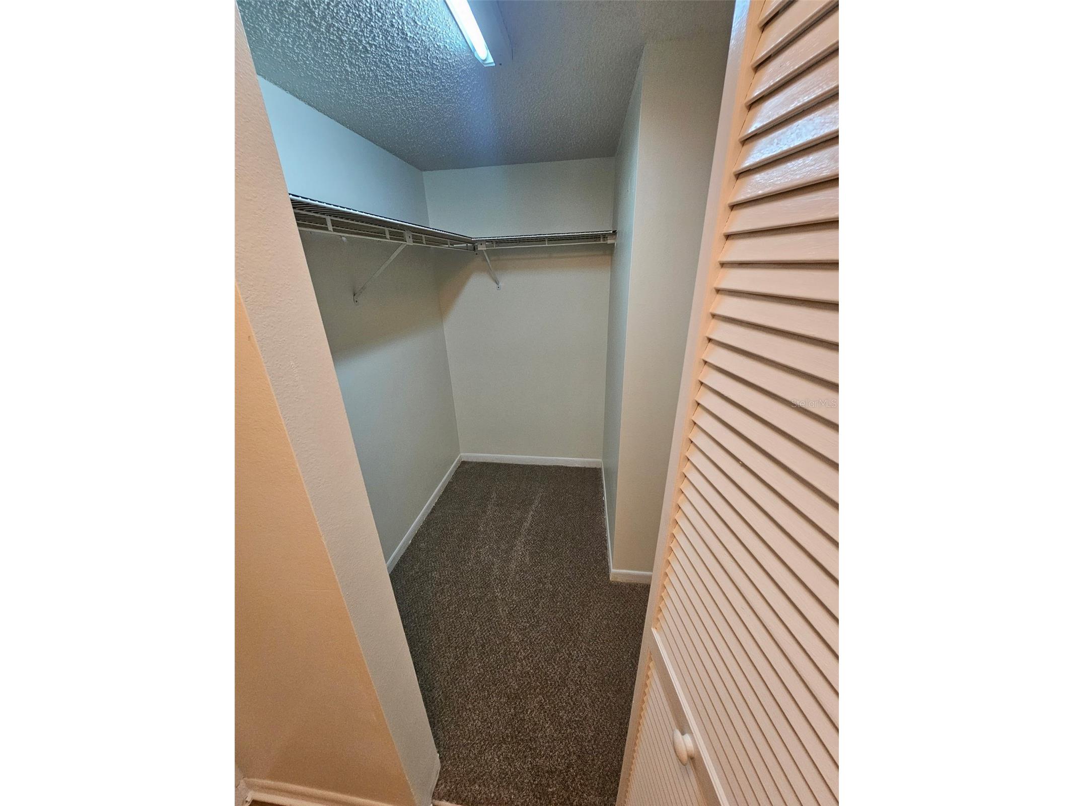 1485 Halsey Drive #105 Dunedin FL 34698 TB8508331 image9